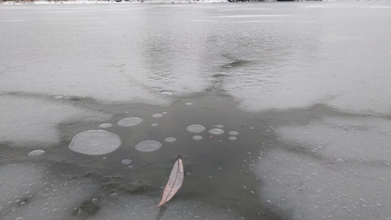 Происшествие на воде в Переволоцком районе